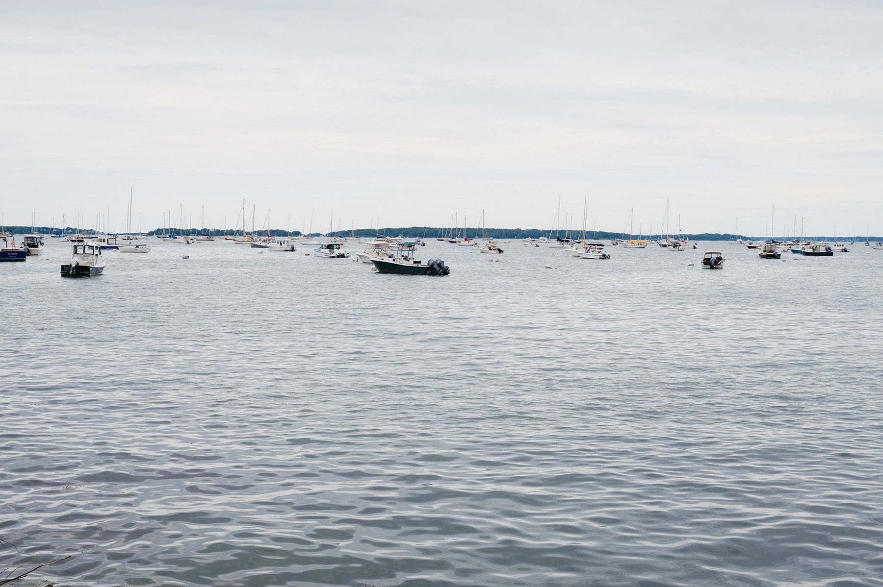 Casco Bay Smiles team member